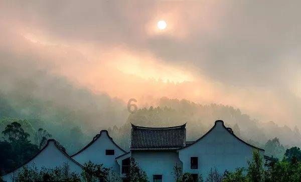 中企承建的斯里兰卡科伦坡港口高架桥合龙