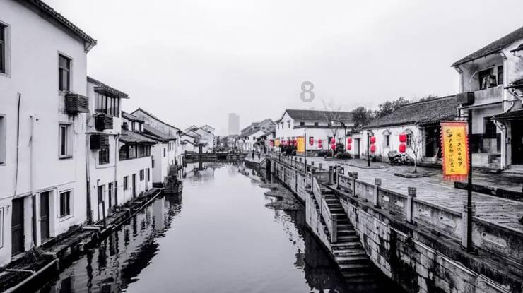 河南扶沟：特色养殖“鸵”起乡村致富梦